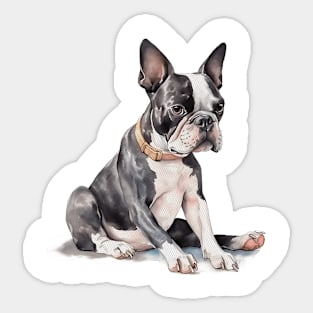 Boston Terrier Watercolor Style Sticker